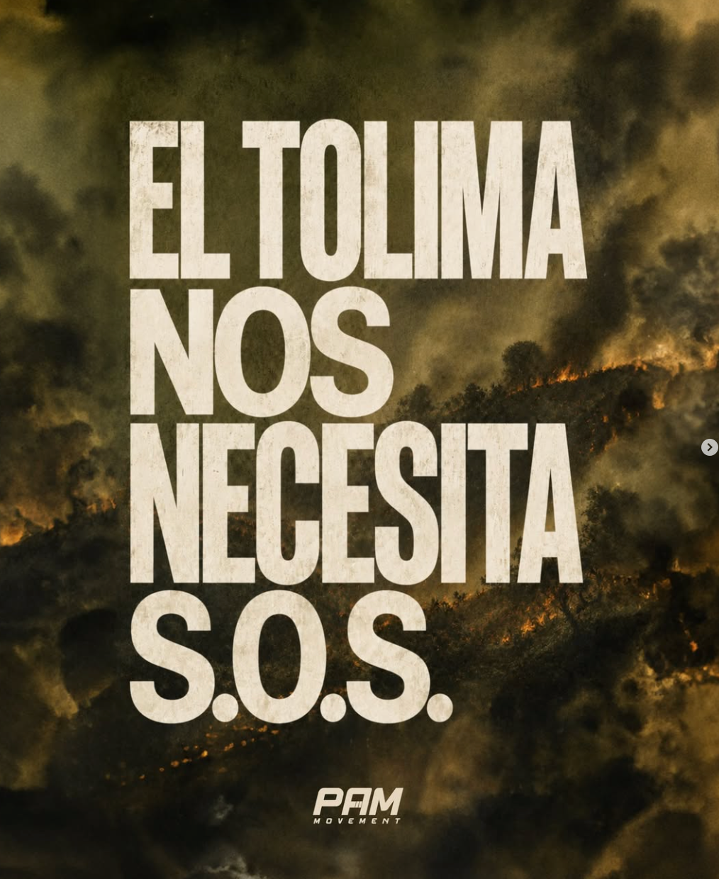 TOLIMA MOVE US: una comunidad que se unió para ayudar